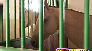 horse girl ki chadai xvideo