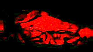 kanshashi-sex-video-with-an-african-woman