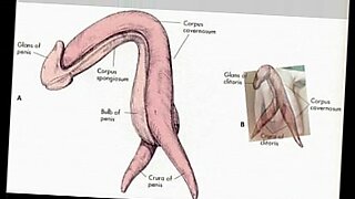 free-porn-videos-sex-porno-online-sexmixxx-topic