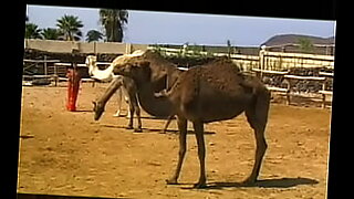 kabul-pathan-girls-full-sexxxx-vedios