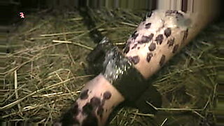 live-vibrator-using